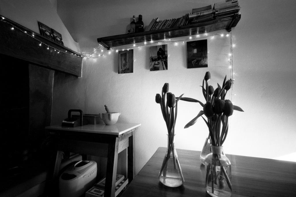 B&B Eridu Fiesole Bagian luar foto