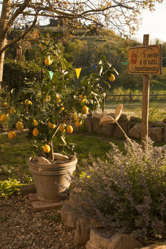 B&B Eridu Fiesole Bagian luar foto